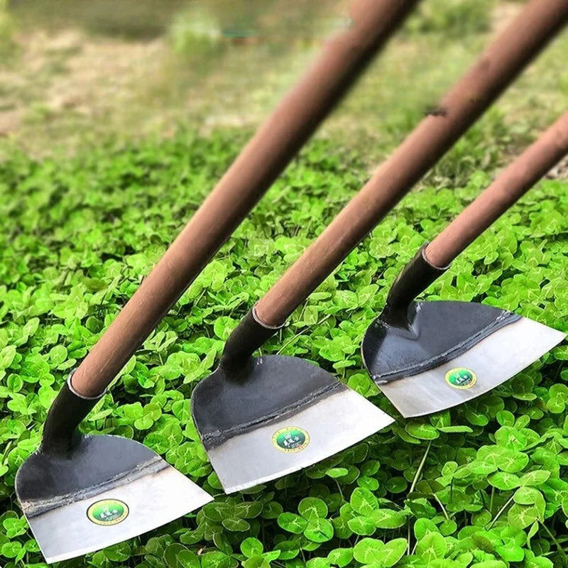 Hoe