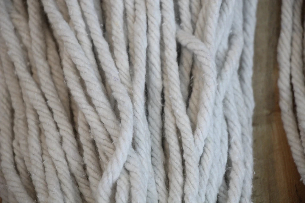 Mop